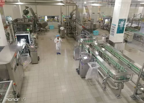 二实学生食品安全,家校共同守护