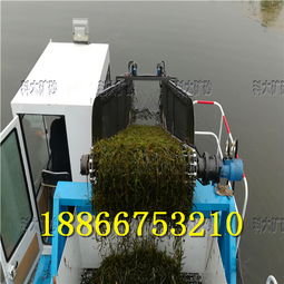 嘉兴海盐水草收割机治理污染河道打捞水葫芦