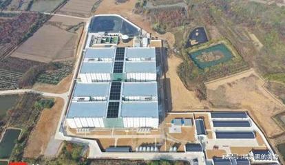 紫牛新闻记者探访养猪"新基建"二师兄跑出智能"加速度"